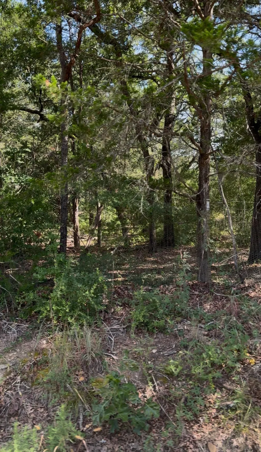 314 Green Oaks Drive #Lot# 14-A Bastrop, TX 78602