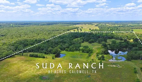 5380 County Road 132 (81.02 acres)