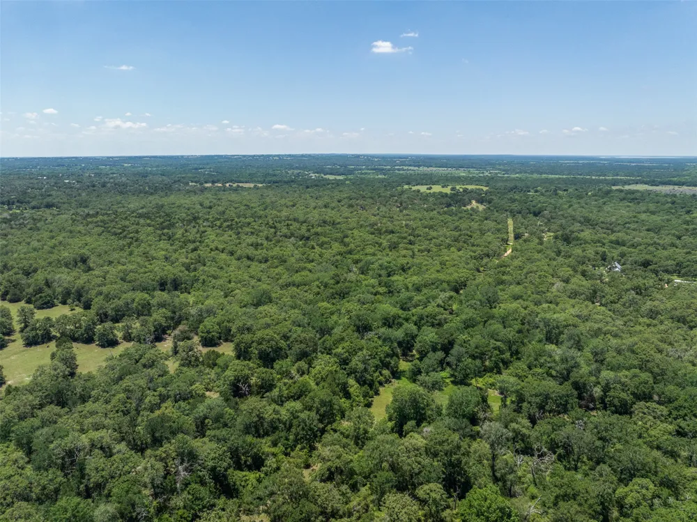 Clay Lane Brenham, TX 77833