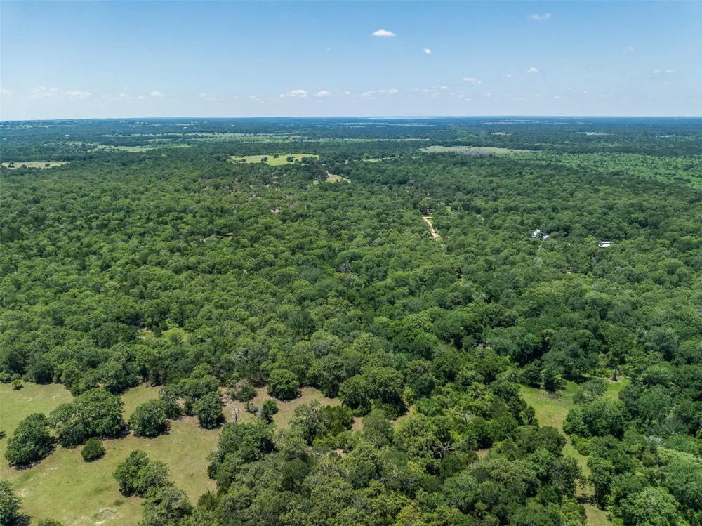 Clay Lane Brenham, TX 77833