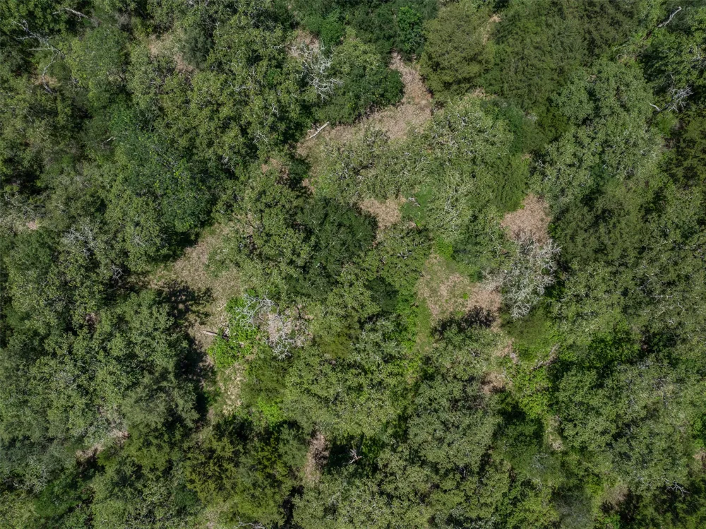 Clay Lane Brenham, TX 77833