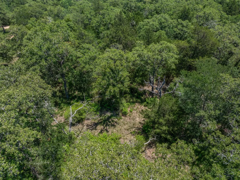Clay Lane Brenham, TX 77833