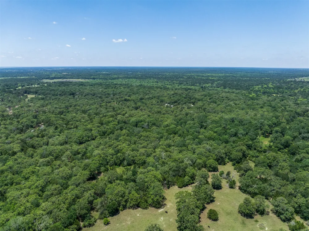 Clay Lane Brenham, TX 77833