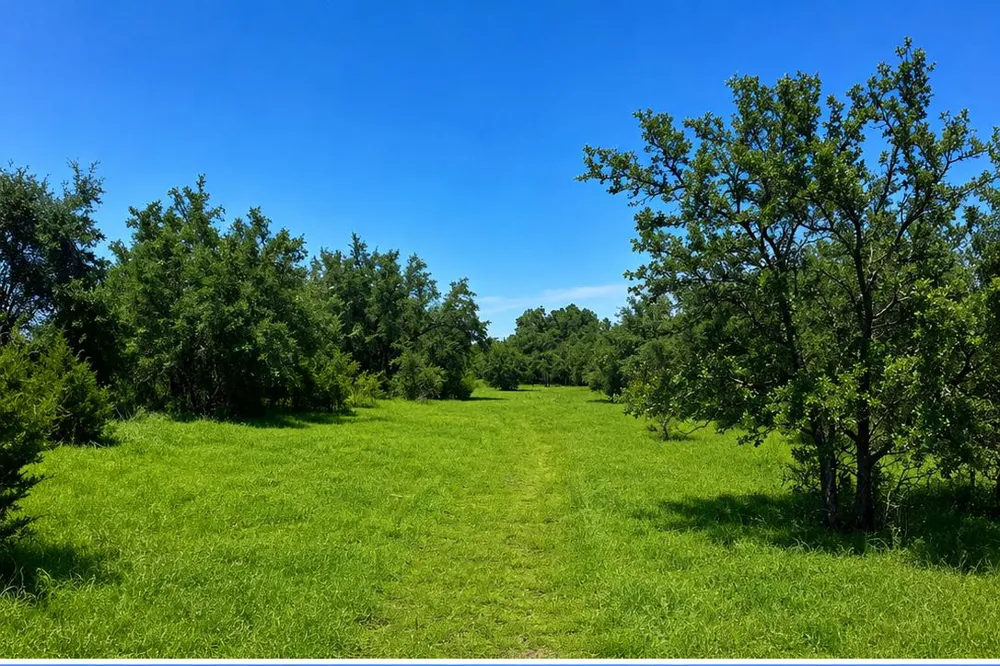 E FM 580 Lampasas, TX 76550
