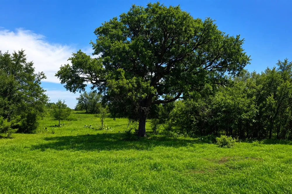 E FM 580 Lampasas, TX 76550