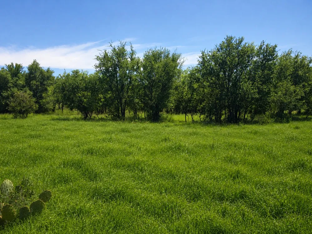 E FM 580 Lampasas, TX 76550