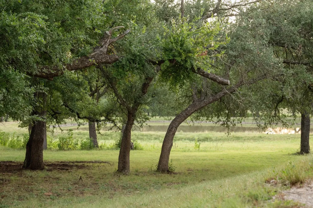 5200 Bell Springs Road Dripping Springs, TX 78620