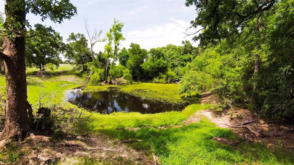 269 Balch Road Elgin, TX 78621