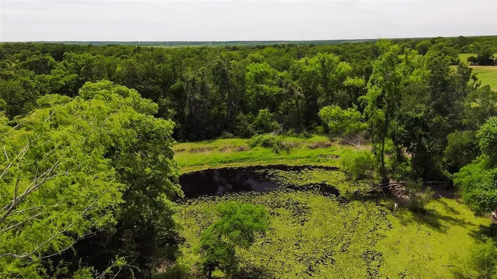 269 Balch Road Elgin, TX 78621