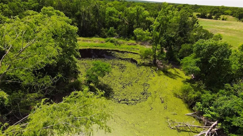 269 Balch Road Elgin, TX 78621