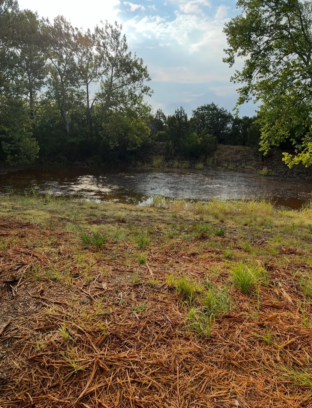 17787 Fm 963 Bertram, TX 78605