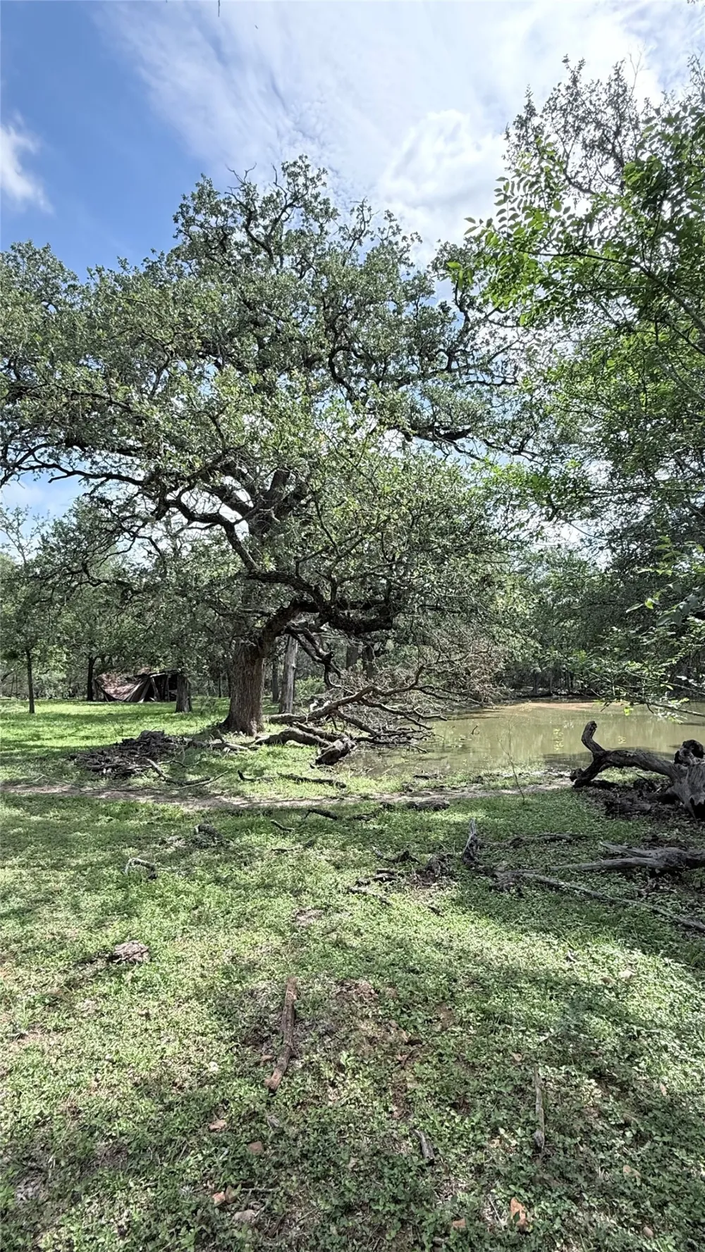 1880 Fm 2571 Smithville, TX 78957