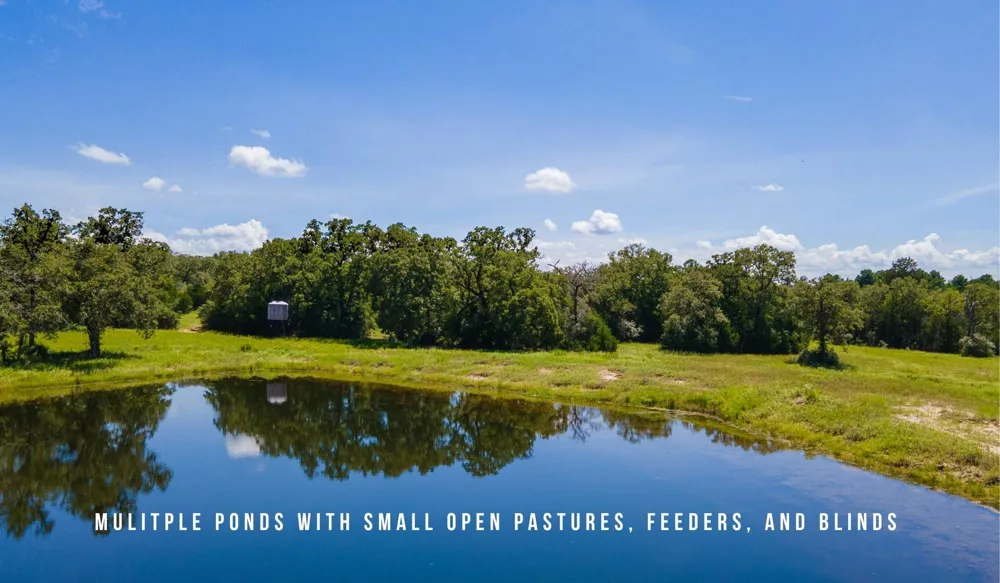 County Road 405 (+/- 839 acres) Lexington, TX 78947