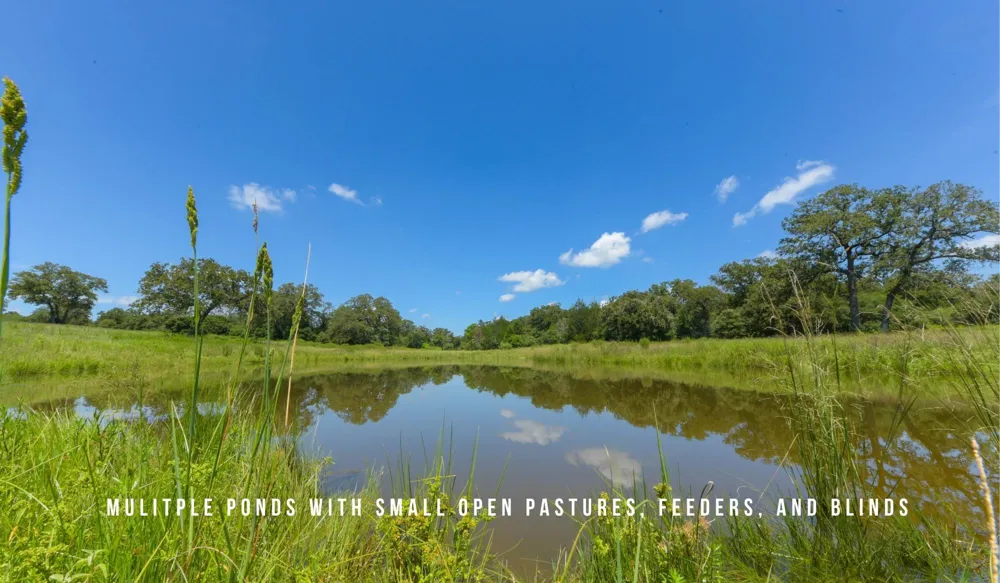 County Road 405 (+/- 839 acres) Lexington, TX 78947