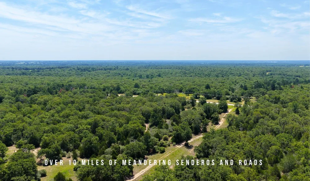 County Road 405 (+/- 839 acres) Lexington, TX 78947