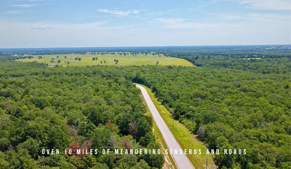 County Road 405 (+/- 839 acres) Lexington, TX 78947