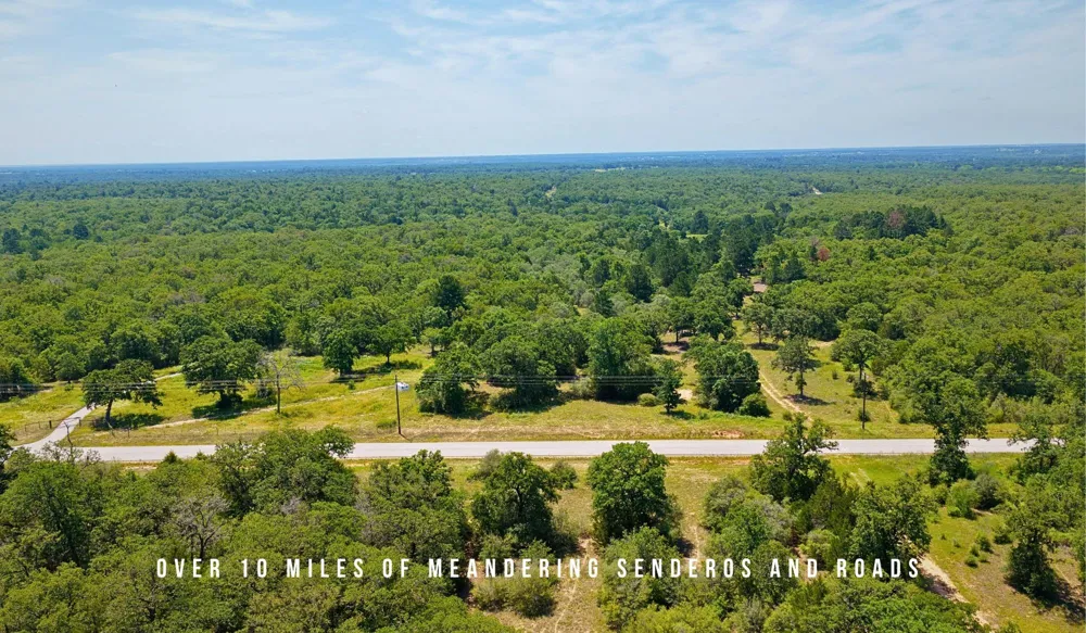 County Road 405 (+/- 839 acres) Lexington, TX 78947