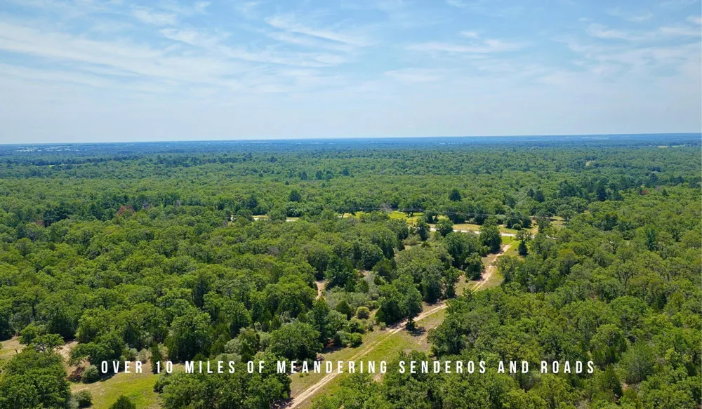 County Road 405 (+/- 839 acres) Lexington, TX 78947