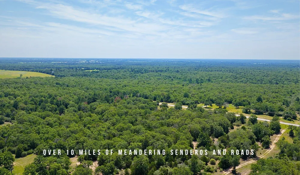 County Road 405 (+/- 839 acres) Lexington, TX 78947