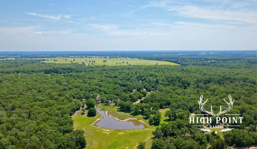 County Road 405 (+/- 839 acres) Lexington, TX 78947