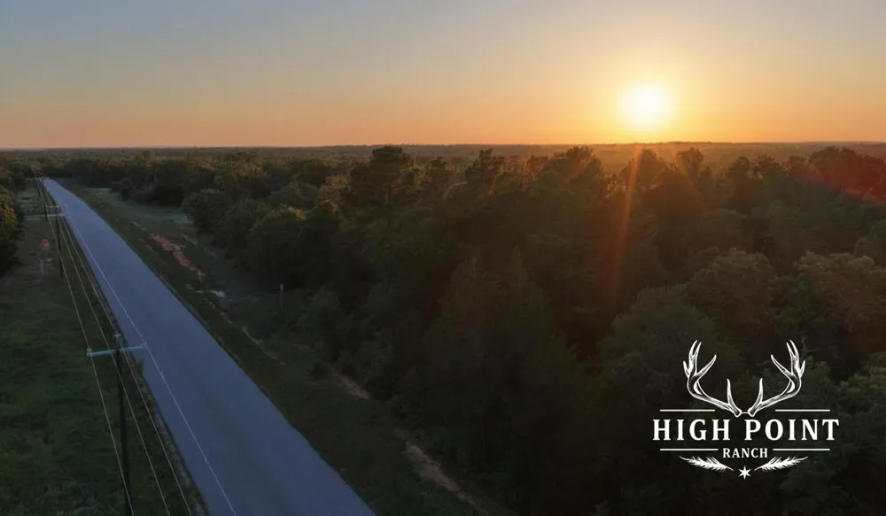 County Road 405 (+/- 839 acres) Lexington, TX 78947