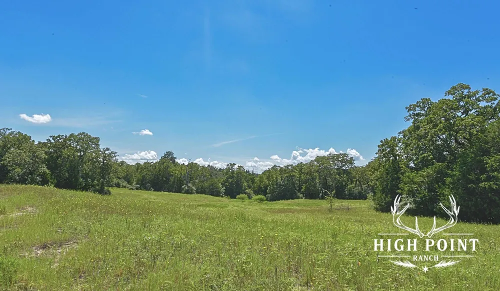 County Road 405 (+/- 839 acres) Lexington, TX 78947