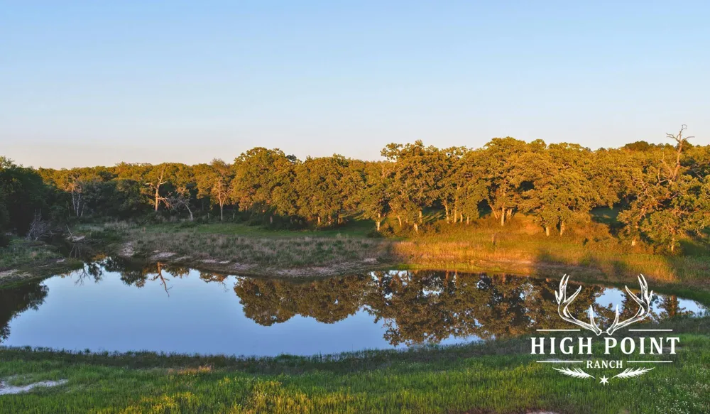 County Road 405 (+/- 839 acres) Lexington, TX 78947