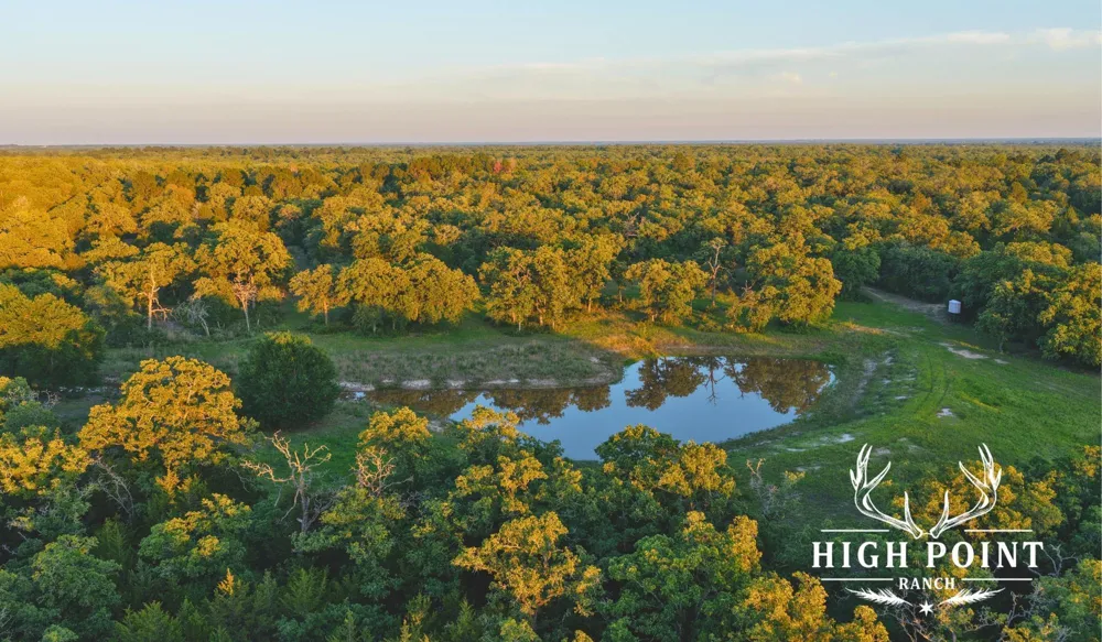 County Road 405 (+/- 839 acres) Lexington, TX 78947