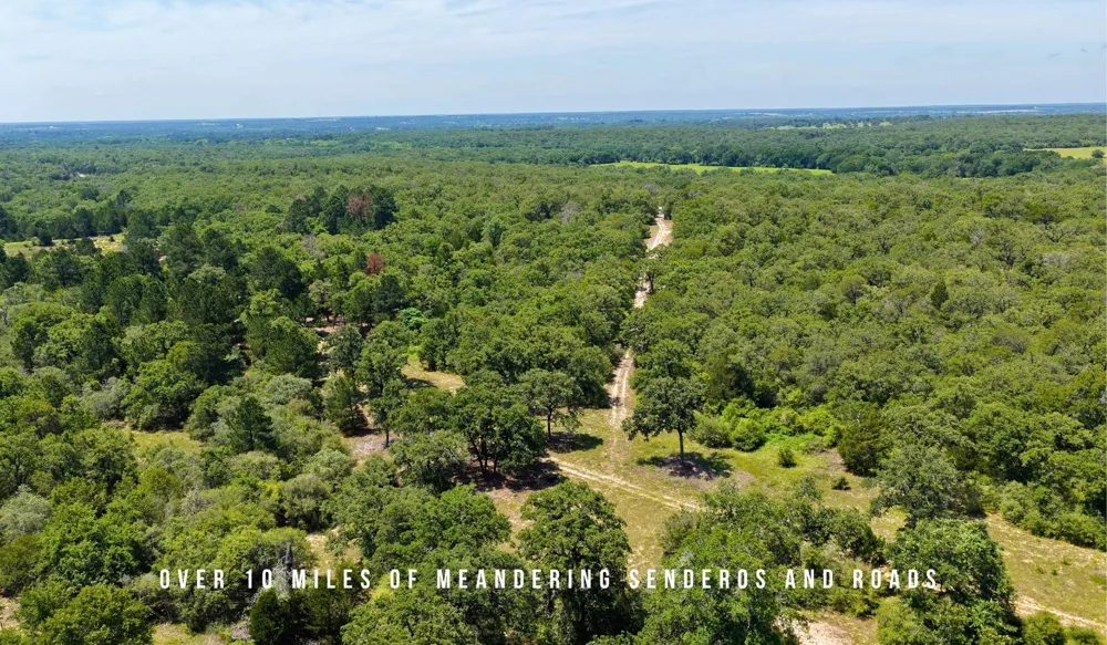 County Road 405 (+/- 839 acres) Lexington, TX 78947