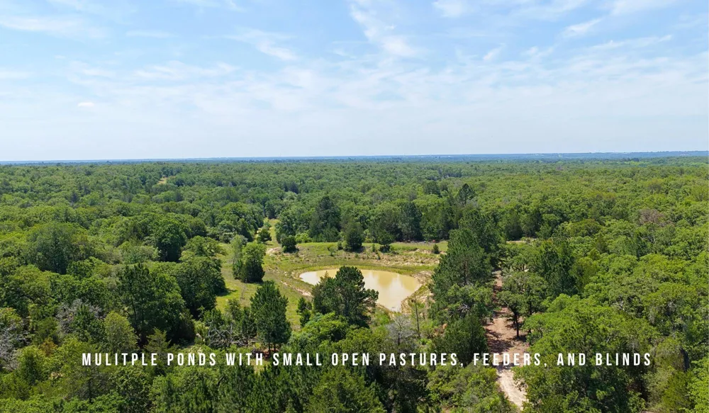 County Road 405 (+/- 839 acres) Lexington, TX 78947