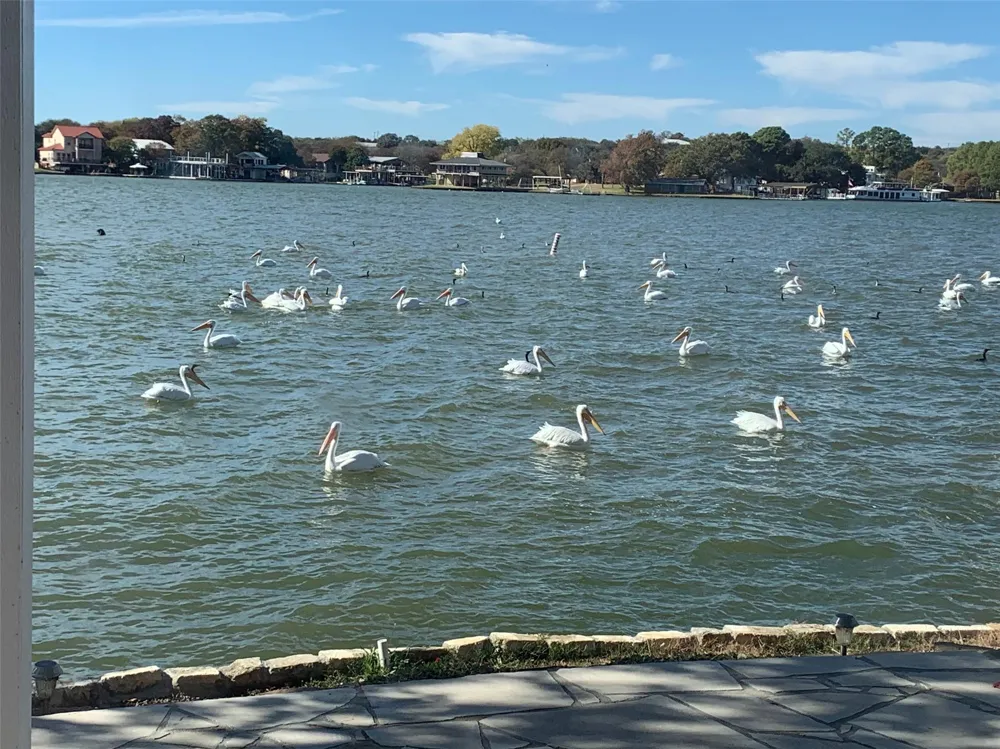 324 Granite Shoals Lane Sunrise Beach, TX 78643