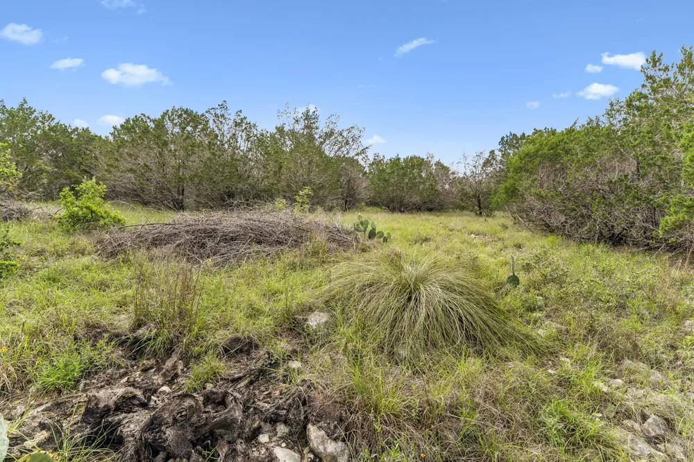 293 River Cliff Place Spring Branch, TX 78070