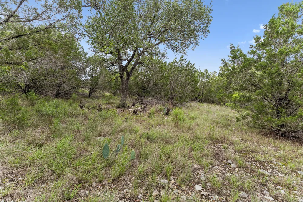 293 River Cliff Place Spring Branch, TX 78070
