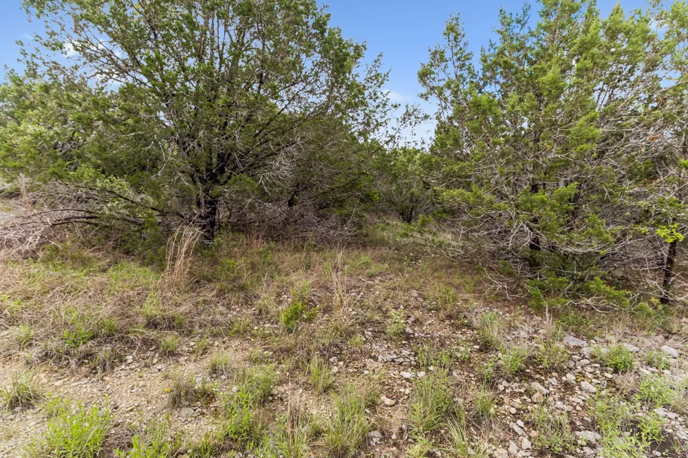 293 River Cliff Place Spring Branch, TX 78070