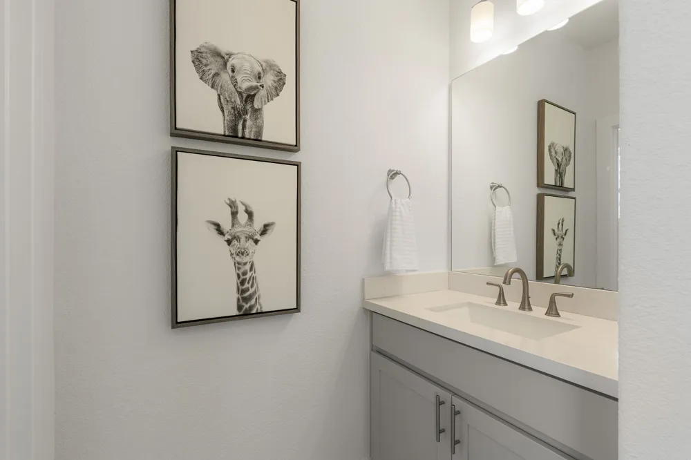 298 Canal Drive Dripping Springs, TX 78620