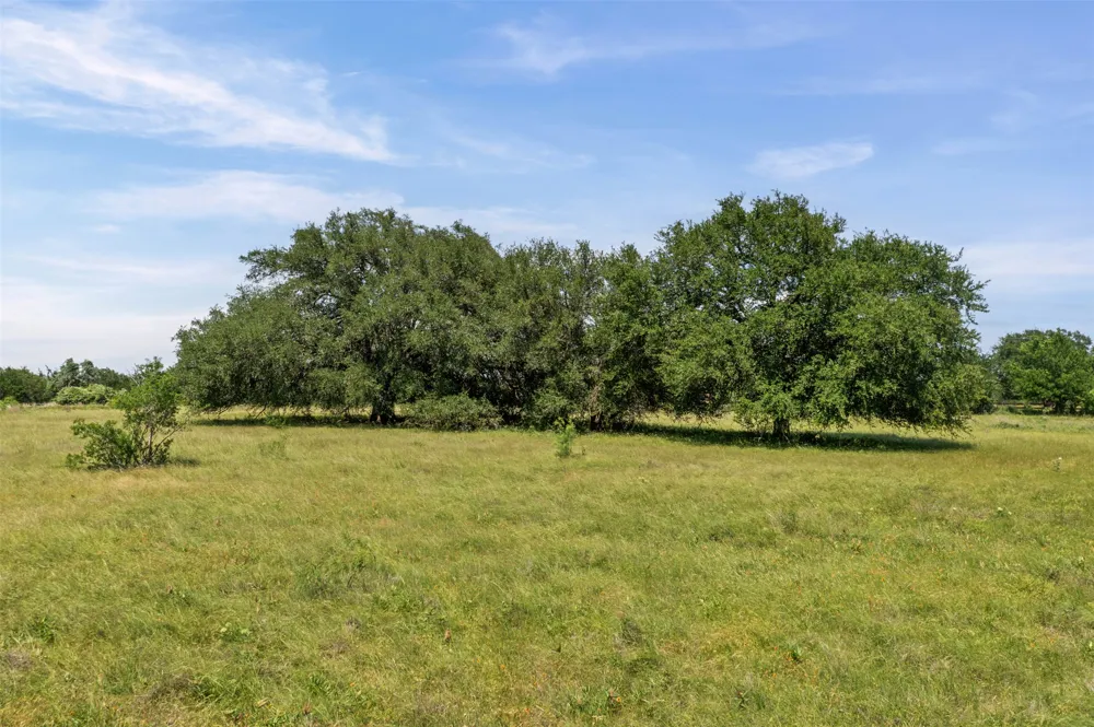 1306 Hidden Springs Drive Salado, TX 76571