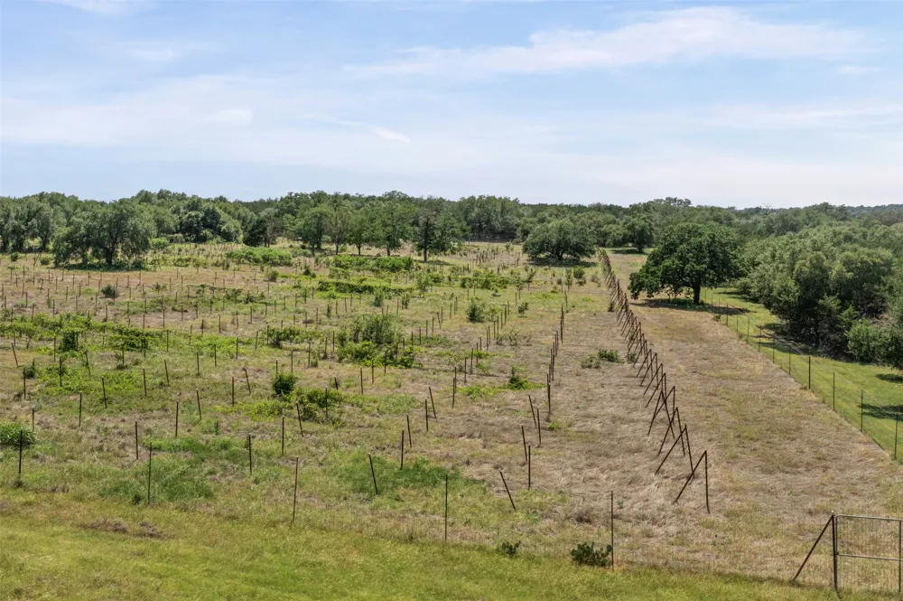 1306 Hidden Springs Drive Salado, TX 76571