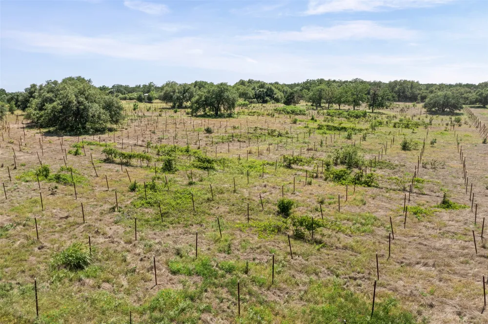 1306 Hidden Springs Drive Salado, TX 76571
