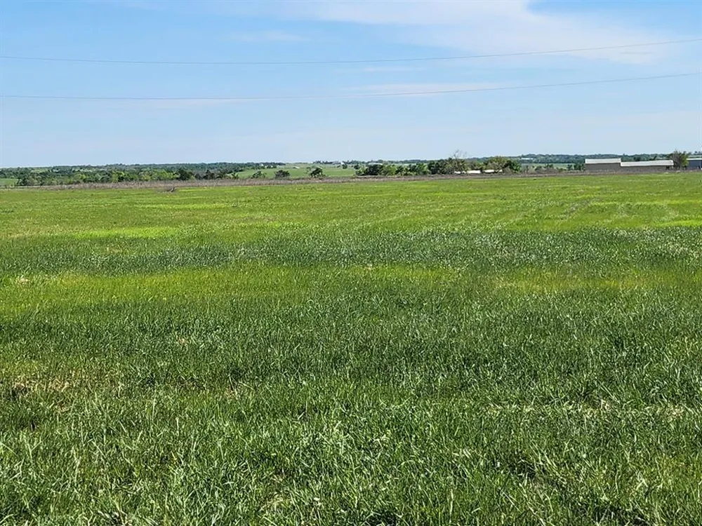 2001 Sunflower Row Coupland, TX 78615