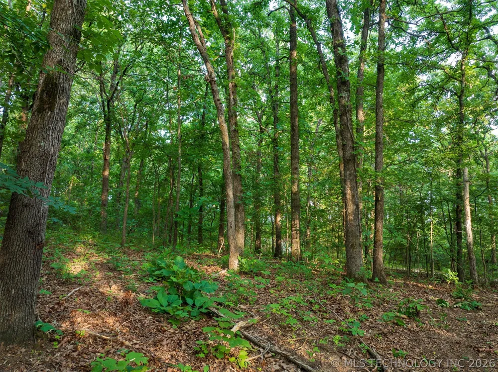 160 ROAD Okmulgee, OK 74447