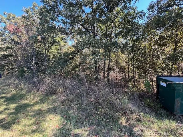 3 4300 ROAD Big Cabin, OK 74332