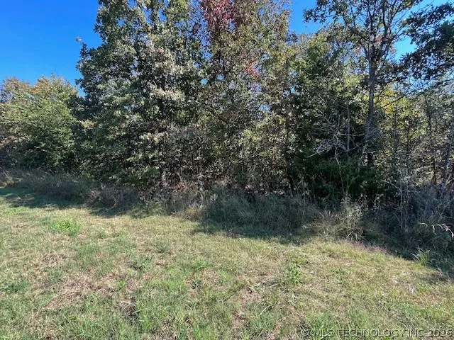 3 4300 ROAD Big Cabin, OK 74332