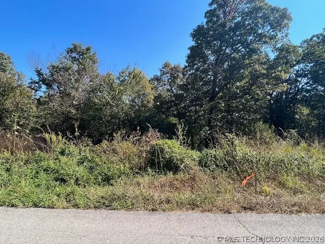 3 4300 ROAD Big Cabin, OK 74332