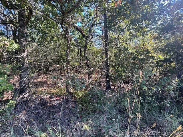 3 4300 ROAD Big Cabin, OK 74332