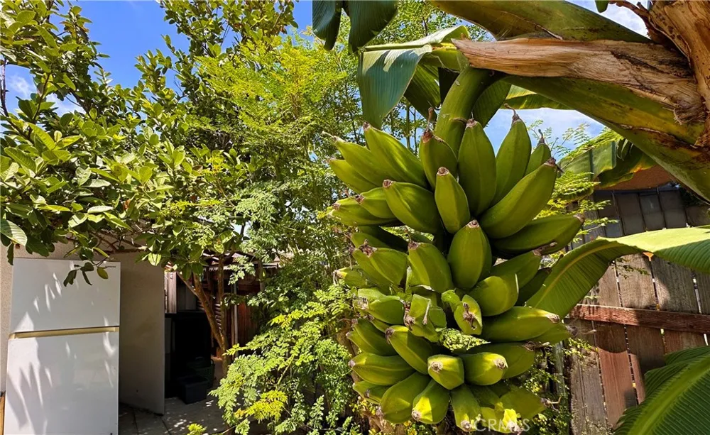 320 E 81st Los Angeles, CA 90003