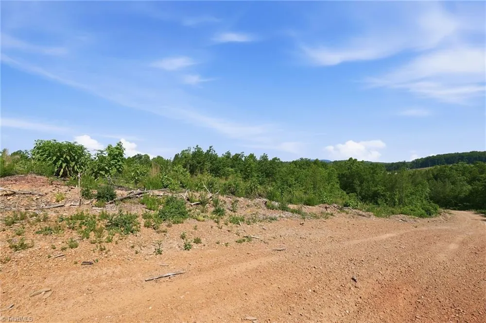 00 Lot#4 Skeen View Road Asheboro, NC 27205