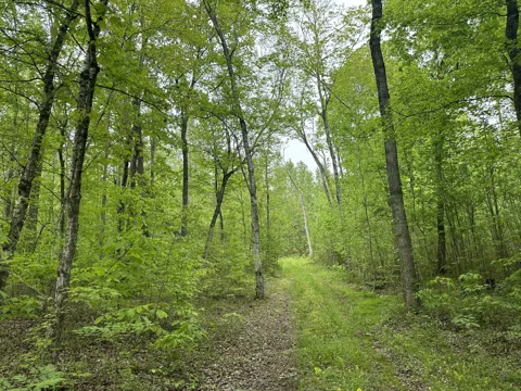 2 Poplar Ridge Rd