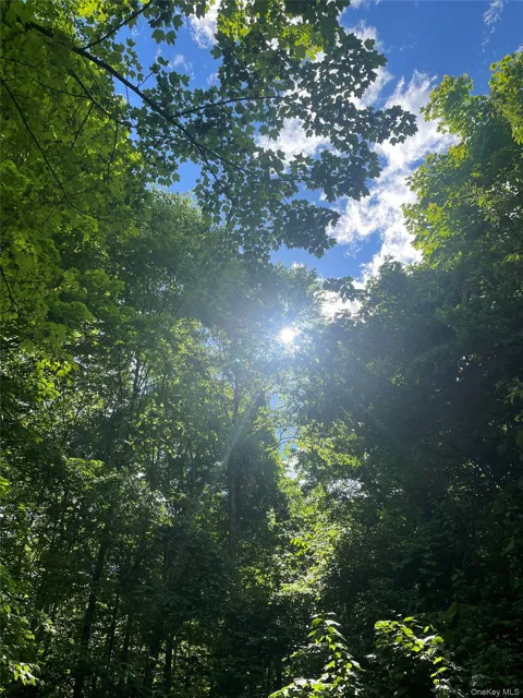 Old Church Road