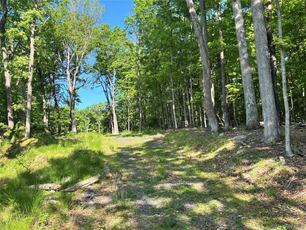 South Plank Road Westtown, NY 10998