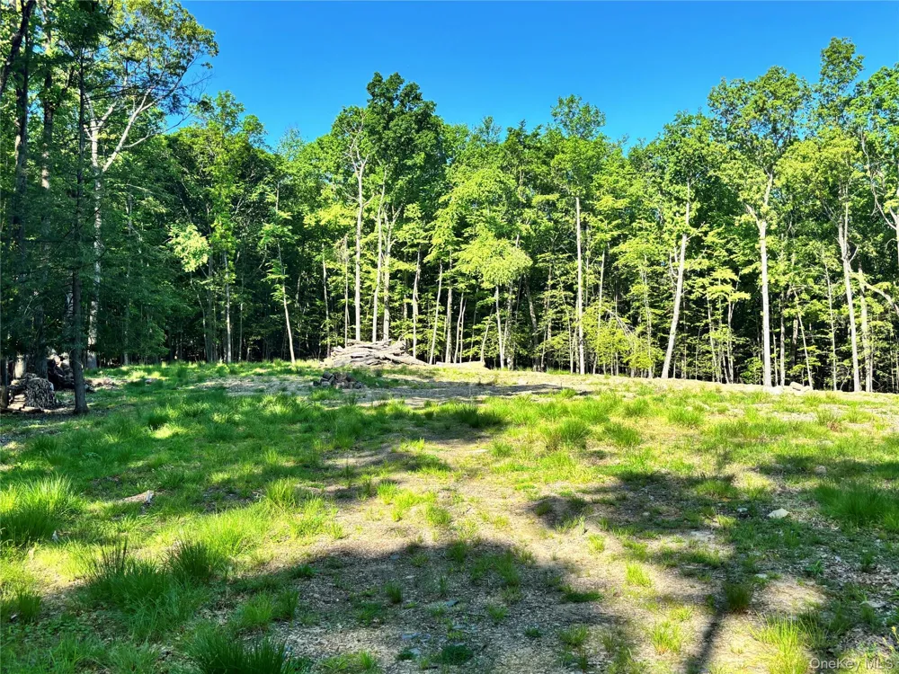 South Plank Road Westtown, NY 10998
